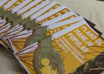 Catadoras de mangaba defendem território tradicional em Aracaju e fortalecem ações para preservar cultura, biodiversidade e geração de renda.