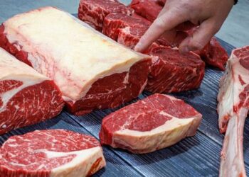 Exportações brasileiras de carne bovina continuam com tarifa de 12%; sobretaxa só valerá após limite anual de exportação.
