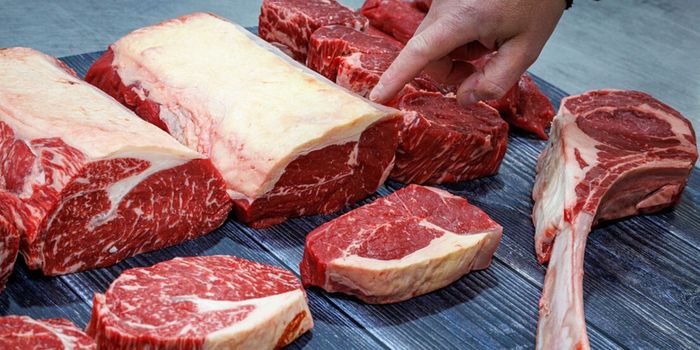 Exportações brasileiras de carne bovina continuam com tarifa de 12%; sobretaxa só valerá após limite anual de exportação.