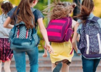Termina nesta sexta-feira o prazo para envio dos dados da primeira etapa do Censo Escolar 2026. Informações são essenciais para estatísticas da educação.