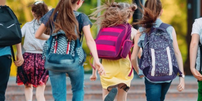 Termina nesta sexta-feira o prazo para envio dos dados da primeira etapa do Censo Escolar 2026. Informações são essenciais para estatísticas da educação.
