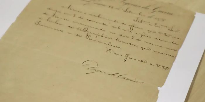 Arquivo Nacional amplia fiscalização para combater a venda ilegal de documentos históricos e recuperar patrimônios públicos brasileiros.