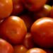 Conab aponta queda de 15,85% no preço do tomate em junho. Melancia, laranja e maçã também ficaram mais baratas nas Ceasas brasileiras.