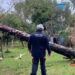 Tempestade em Eldorado do Sul deixa 720 desabrigados e provoca estado de emergência. Defesa Civil alerta para novas chuvas no RS.