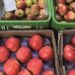 Ceasas comercializaram 16,6 milhões de toneladas de hortigranjeiros em 2025, movimentando R$ 68,7 bilhões, segundo a Conab.