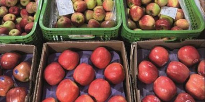 Ceasas comercializaram 16,6 milhões de toneladas de hortigranjeiros em 2025, movimentando R$ 68,7 bilhões, segundo a Conab.
