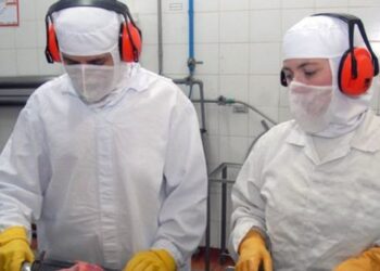 Exportações brasileiras cresceram 40,6% na primeira semana de julho e levaram o superávit da balança comercial a US$ 2,27 bilhões.