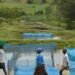 Estudo identifica bactéria Flavobacterium em peixes cultivados no Brasil e alerta para impactos na aquicultura, sem evidências de transmissão a humanos.