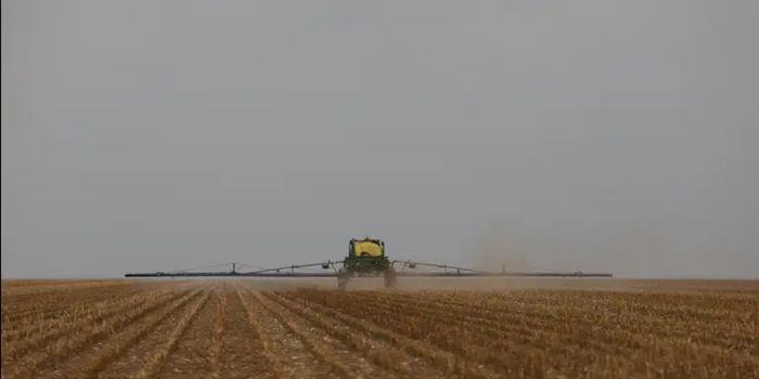 Conab revisa para cima a safra de grãos 2025/26 e prevê produção recorde de 360,1 milhões de toneladas, com destaque para soja e milho.