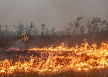 Sala de Situação sobre Incêndios Florestais acelera ações do governo federal para 2026, com foco em prevenção, resposta operacional, monitoramento climático e combate às queimadas.
