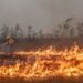 Sala de Situação sobre Incêndios Florestais acelera ações do governo federal para 2026, com foco em prevenção, resposta operacional, monitoramento climático e combate às queimadas.