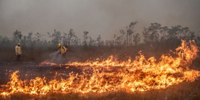 Sala de Situação sobre Incêndios Florestais acelera ações do governo federal para 2026, com foco em prevenção, resposta operacional, monitoramento climático e combate às queimadas.