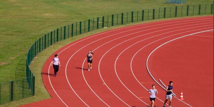 Lei cria a Universidade Federal do Esporte, primeira instituição pública federal dedicada exclusivamente ao ensino, pesquisa e inovação na área esportiva. Sede será em Brasília.