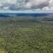 Além do confronto na Copa do Mundo, Brasil e Noruega mantêm cooperação bilionária em iniciativas de preservação ambiental, como o Fundo Amazônia e o TFFF.