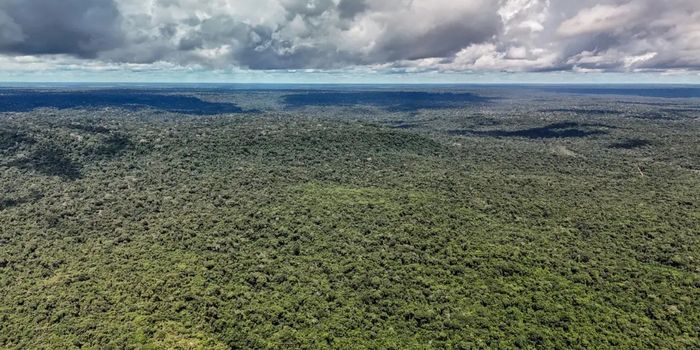 Além do confronto na Copa do Mundo, Brasil e Noruega mantêm cooperação bilionária em iniciativas de preservação ambiental, como o Fundo Amazônia e o TFFF.