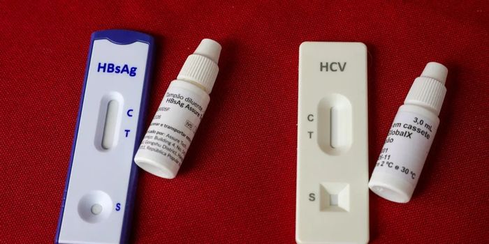 Julho Amarelo destaca prevenção, vacinação e diagnóstico precoce das hepatites virais para reduzir casos de cirrose e câncer de fígado no Brasil.