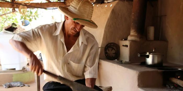 Setor da sociobioeconomia cresce no Brasil, movimenta R$ 2,7 trilhões e ganha apoio de políticas públicas e investimentos sustentáveis.