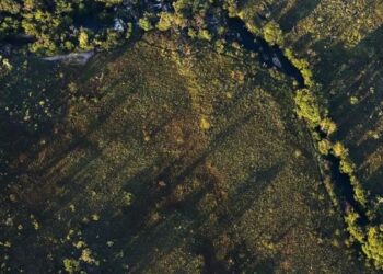Conselho Monetário Nacional aprova juros menores para crédito rural sustentável e altera classificação de produtores na safra 2026/2027.