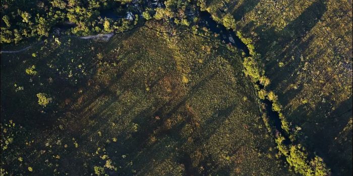 Conselho Monetário Nacional aprova juros menores para crédito rural sustentável e altera classificação de produtores na safra 2026/2027.