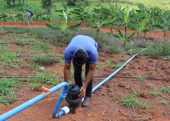 Congresso avalia projeto que destina R$ 33,6 milhões à Codevasf e à ANA para ações de irrigação e gestão da água.
