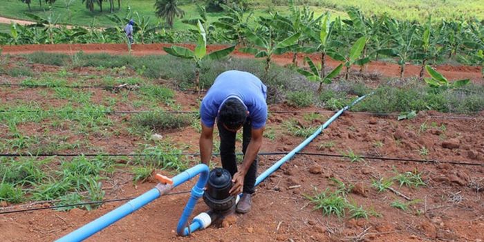 Congresso avalia projeto que destina R$ 33,6 milhões à Codevasf e à ANA para ações de irrigação e gestão da água.
