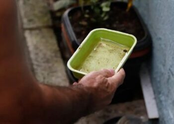 Ministério da Saúde alerta que El Niño pode aumentar os casos de dengue e recomenda reforço das ações de combate ao mosquito.