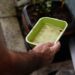 Ministério da Saúde alerta que El Niño pode aumentar os casos de dengue e recomenda reforço das ações de combate ao mosquito.