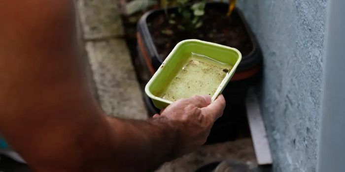 Ministério da Saúde alerta que El Niño pode aumentar os casos de dengue e recomenda reforço das ações de combate ao mosquito.
