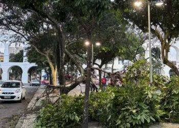 Ventania com rajadas acima de 100 km/h causa apagões, queda de árvores, suspensão de transportes e transtornos no Rio de Janeiro.