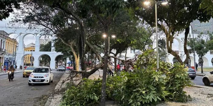 Ventania com rajadas acima de 100 km/h causa apagões, queda de árvores, suspensão de transportes e transtornos no Rio de Janeiro.