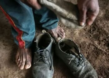 Operação do MTE resgata 29 trabalhadores em situação análoga à escravidão em pedreiras da Bahia e Pernambuco.