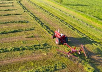 Produtores rurais afetados por perdas climáticas poderão renegociar dívidas com novas linhas de crédito previstas em medida provisória.