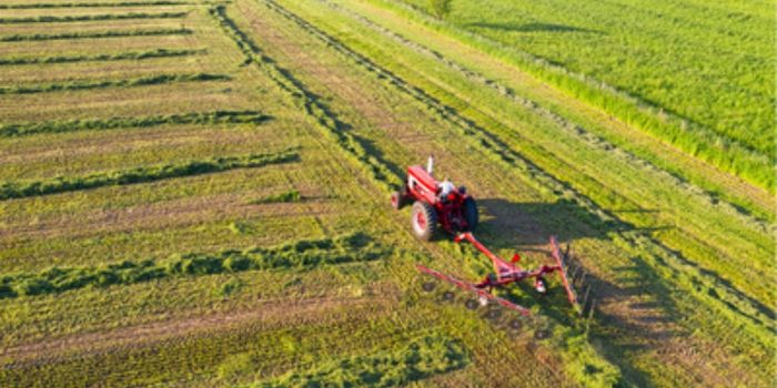 Produtores rurais afetados por perdas climáticas poderão renegociar dívidas com novas linhas de crédito previstas em medida provisória.