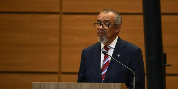 Diretor da OMS afirma que risco global do ebola é baixo, embora surto na República Democrática do Congo siga preocupando.