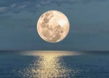 Parque da Fonte Grande promove evento gratuito para observação da lua cheia nesta quarta-feira (29), em Vitória.