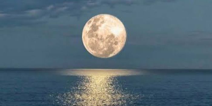 Parque da Fonte Grande promove evento gratuito para observação da lua cheia nesta quarta-feira (29), em Vitória.