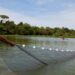 Ministério da Pesca prorroga prazo de atualização cadastral para aquicultores até dezembro de 2026. Brasil tem mais de 35 mil profissionais registrados.