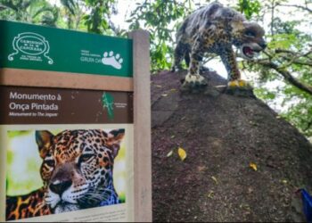 Projeto em Vitória leva estudantes ao Parque Gruta da Onça para aula sobre Mata Atlântica, clima, nascentes e preservação ambiental.