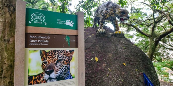 Projeto em Vitória leva estudantes ao Parque Gruta da Onça para aula sobre Mata Atlântica, clima, nascentes e preservação ambiental.