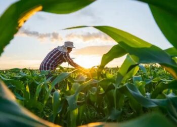 MP do agro deve ser publicada na próxima semana com renegociação de dívidas, carência de até dois anos e prazo maior para produtores rurais.