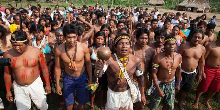 O Estado brasileiro pediu desculpas oficiais ao povo avá-canoeiro do Araguaia por violações cometidas durante a ditadura militar. Comissão de Anistia reconheceu a etnia como anistiada política coletiva.