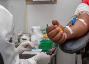 Portaria do Ministério da Saúde redefine regras da hemoterapia, orienta período de transição e fortalece a segurança do ciclo do sangue.