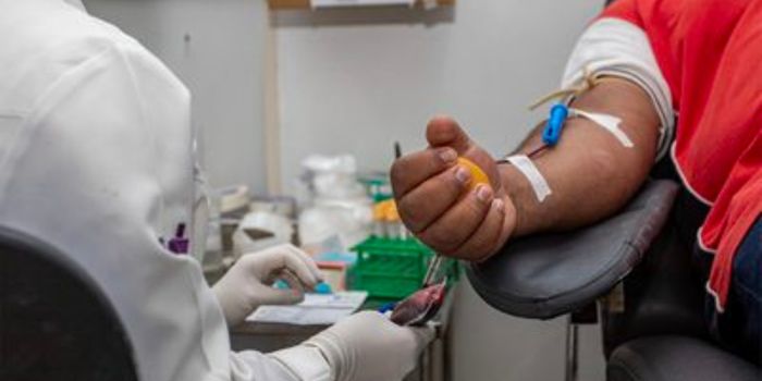 Portaria do Ministério da Saúde redefine regras da hemoterapia, orienta período de transição e fortalece a segurança do ciclo do sangue.