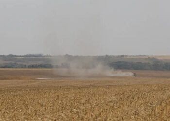 WRI Brasil apresenta estudo com recomendações para fortalecer a rastreabilidade da soja e da carne e atender às exigências do mercado internacional.