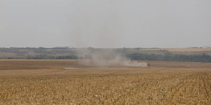 WRI Brasil apresenta estudo com recomendações para fortalecer a rastreabilidade da soja e da carne e atender às exigências do mercado internacional.