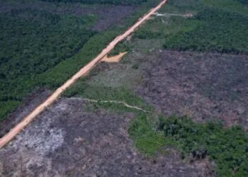 Manual do quinto leilão do Eco Invest Brasil define regras para financiar projetos de inovação, indústria sustentável e transição ecológica.