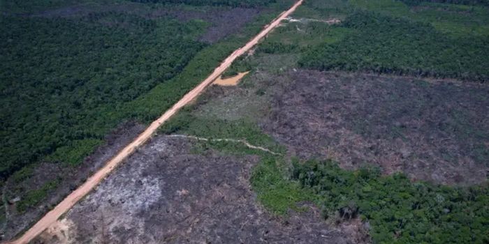 Manual do quinto leilão do Eco Invest Brasil define regras para financiar projetos de inovação, indústria sustentável e transição ecológica.