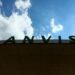 Anvisa manda apreender lote falsificado do Mounjaro e orienta consumidores a verificarem autenticidade do medicamento.