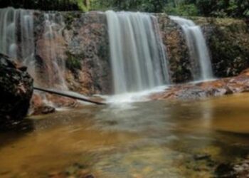 Amazônia oferece atrações de ecoturismo em nove estados, com parques, cachoeiras, rios, trilhas e turismo comunitário para todos os perfis de viajantes.