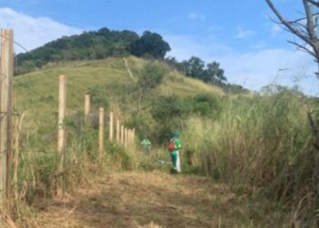Vitória intensifica prevenção contra incêndios florestais e orienta moradores sobre medidas para evitar queimadas.
